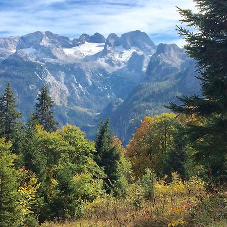 Апартаменты Dachstein Mountainview Гозау Экстерьер фото