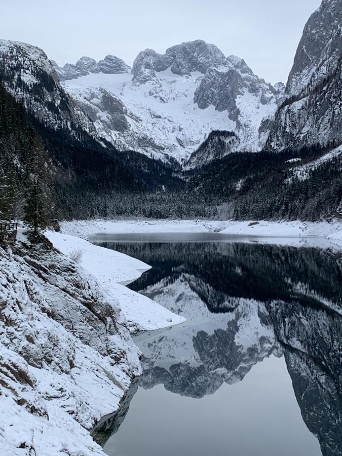 Апартаменты Dachstein Mountainview Гозау Экстерьер фото