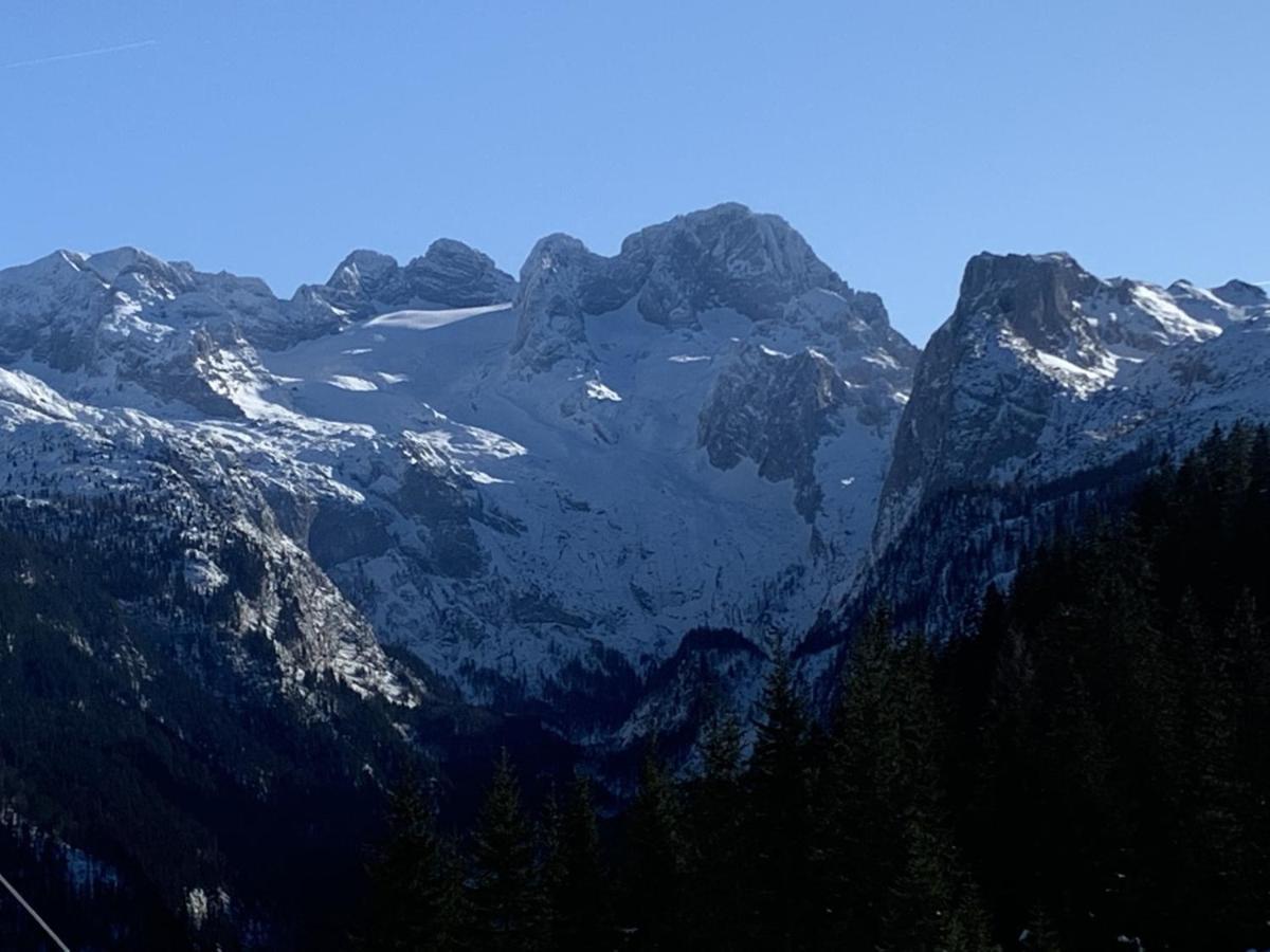 Апартаменты Dachstein Mountainview Гозау Экстерьер фото