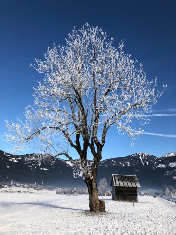 Апартаменты Dachstein Mountainview Гозау Экстерьер фото