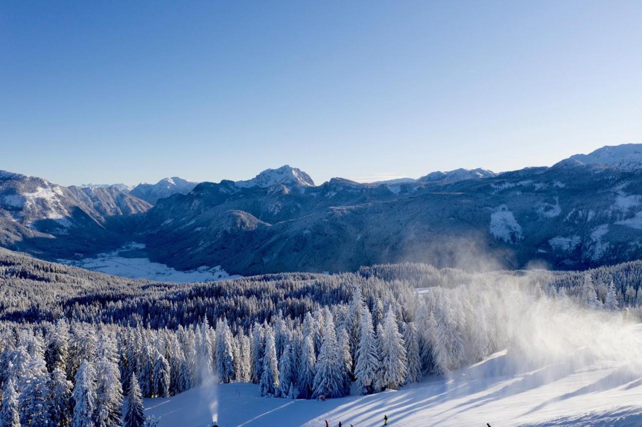 Апартаменты Dachstein Mountainview Гозау Экстерьер фото