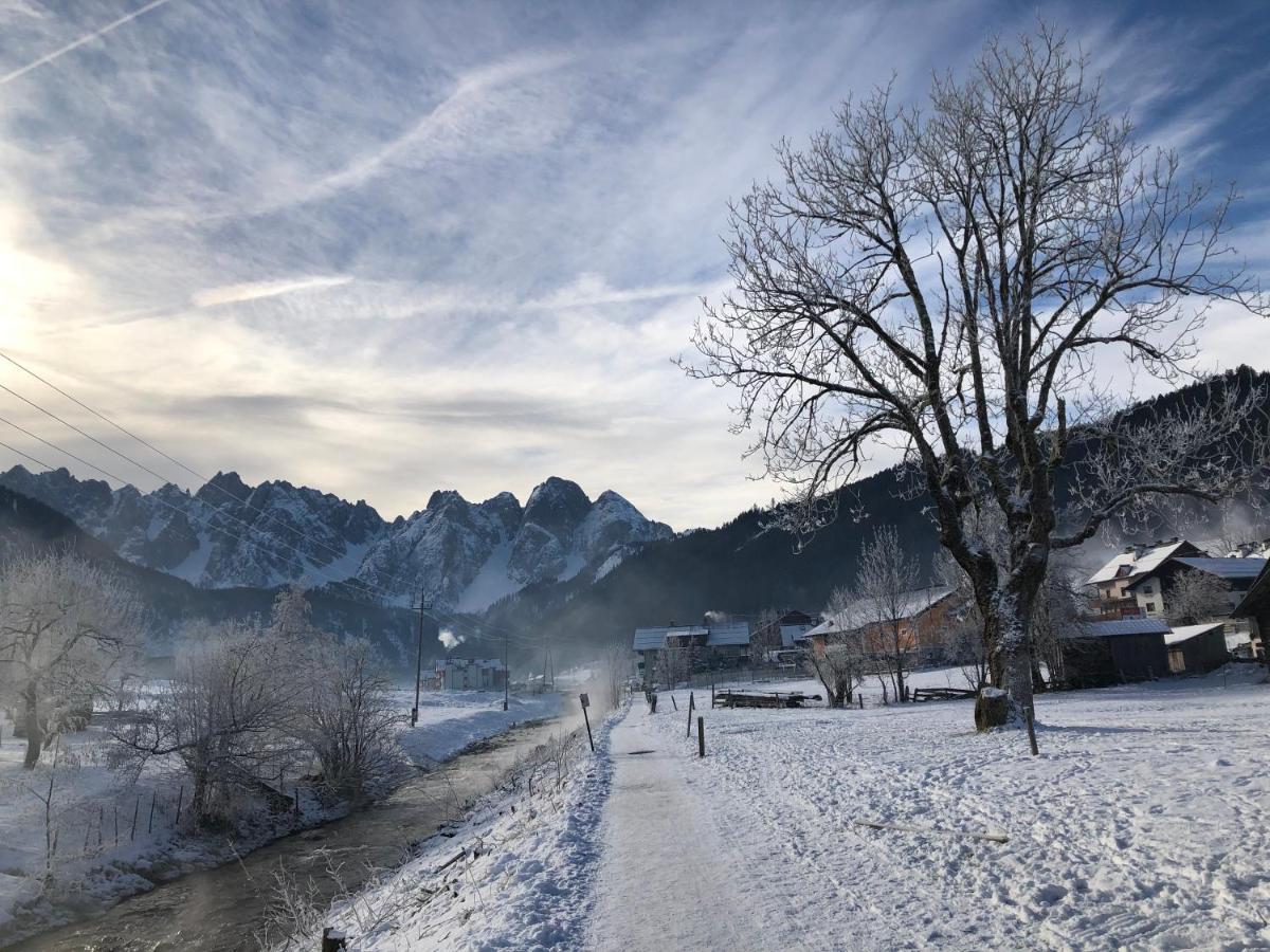 Апартаменты Dachstein Mountainview Гозау Экстерьер фото