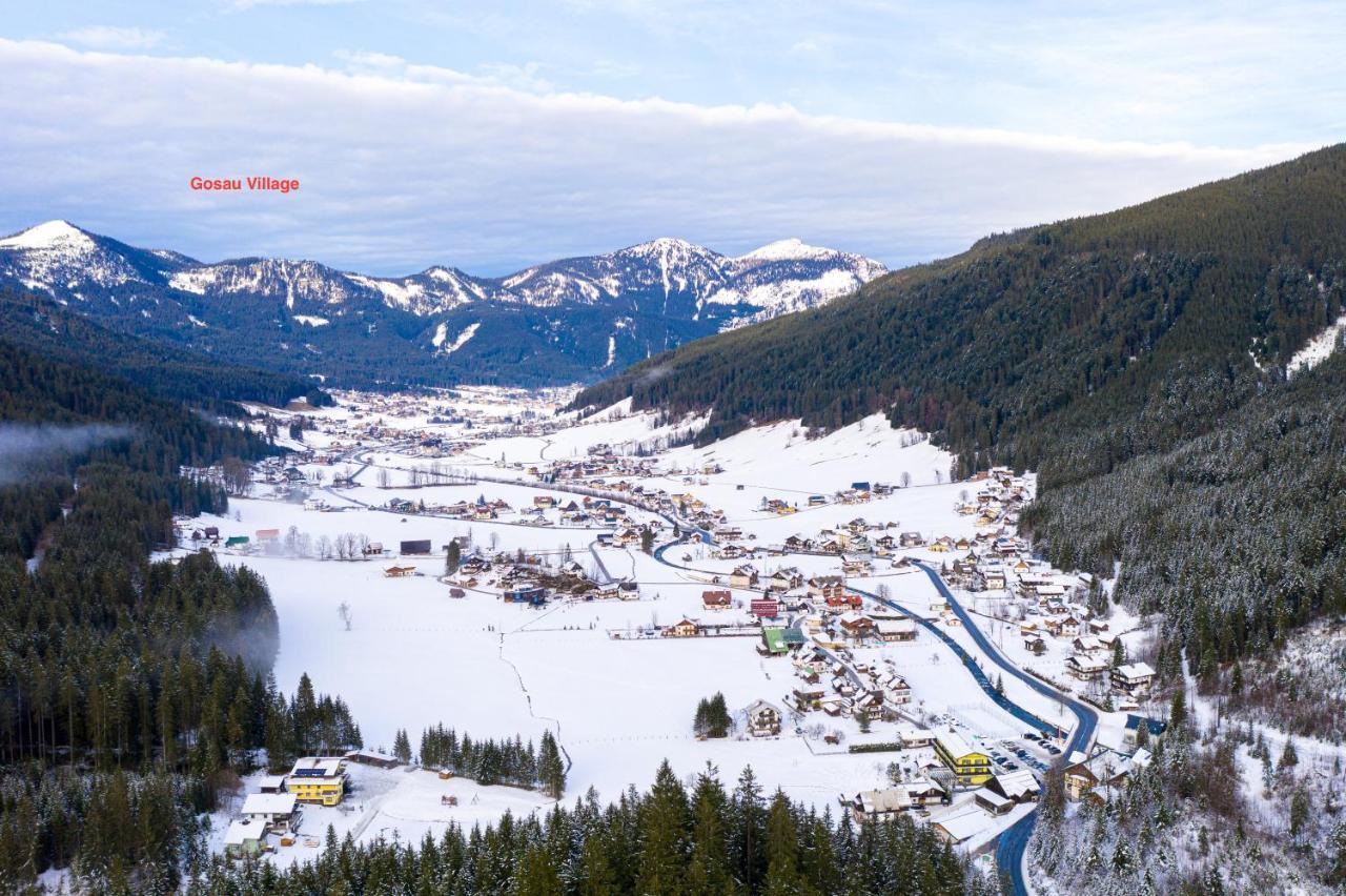 Апартаменты Dachstein Mountainview Гозау Экстерьер фото