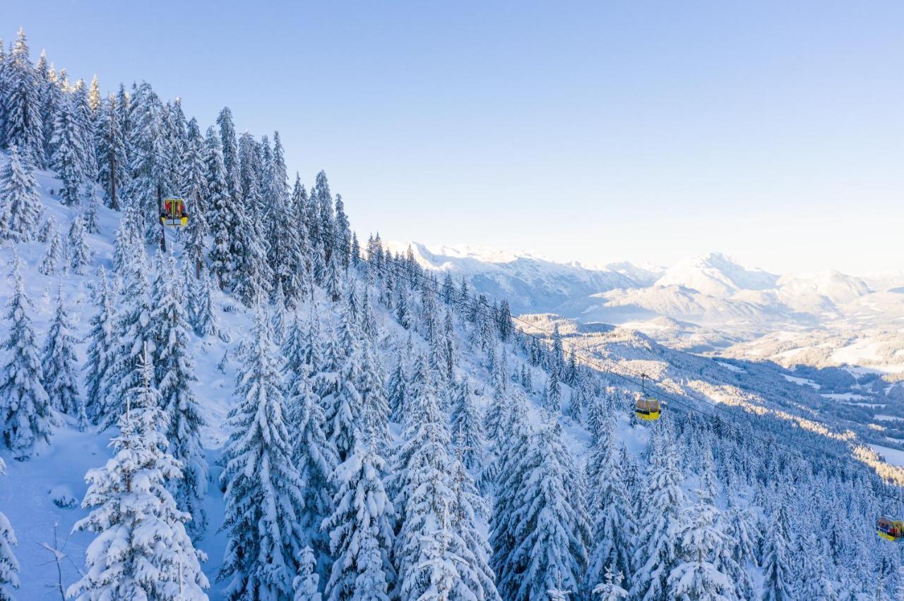 Апартаменты Dachstein Mountainview Гозау Экстерьер фото
