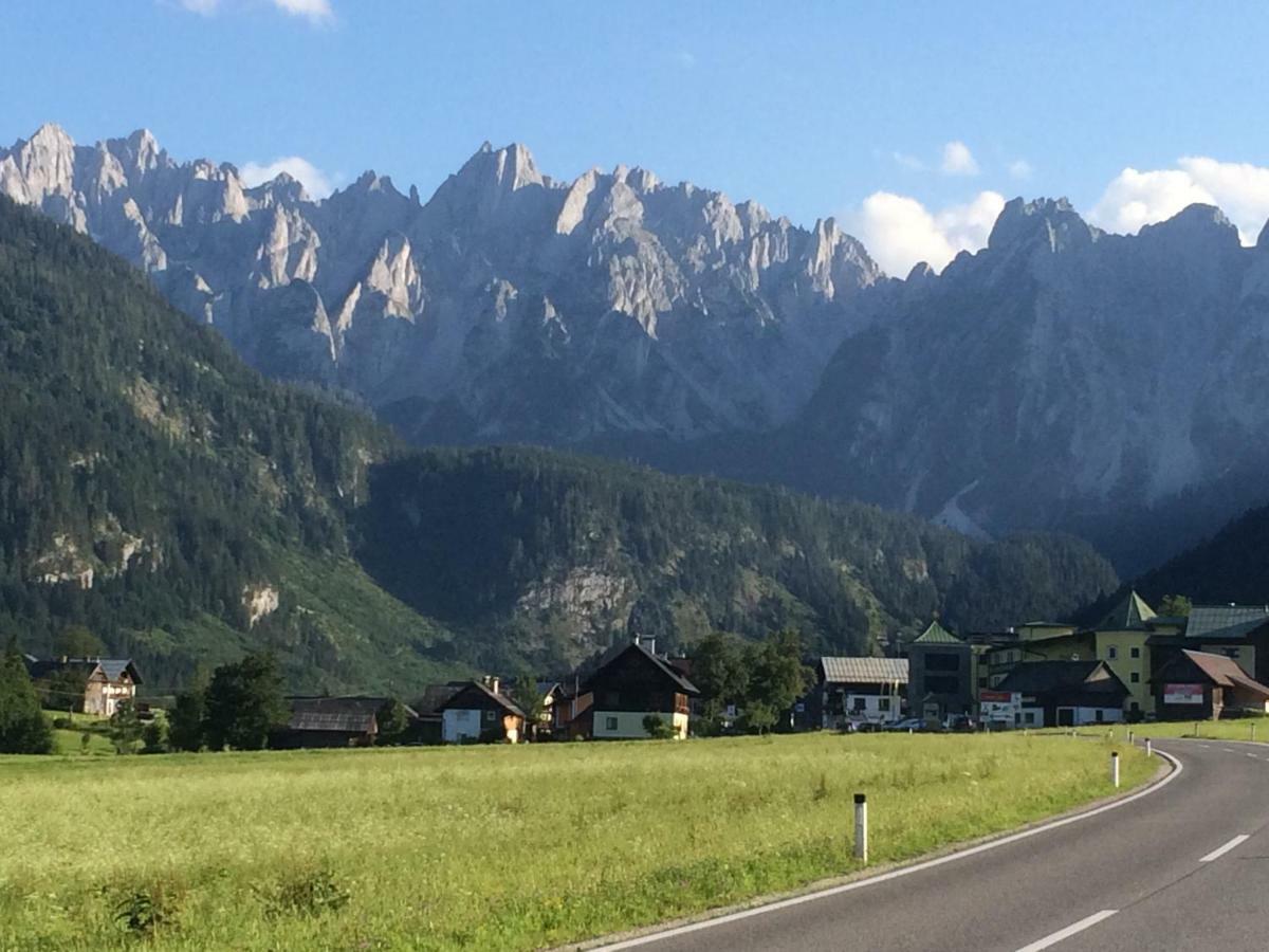 Апартаменты Dachstein Mountainview Гозау Экстерьер фото