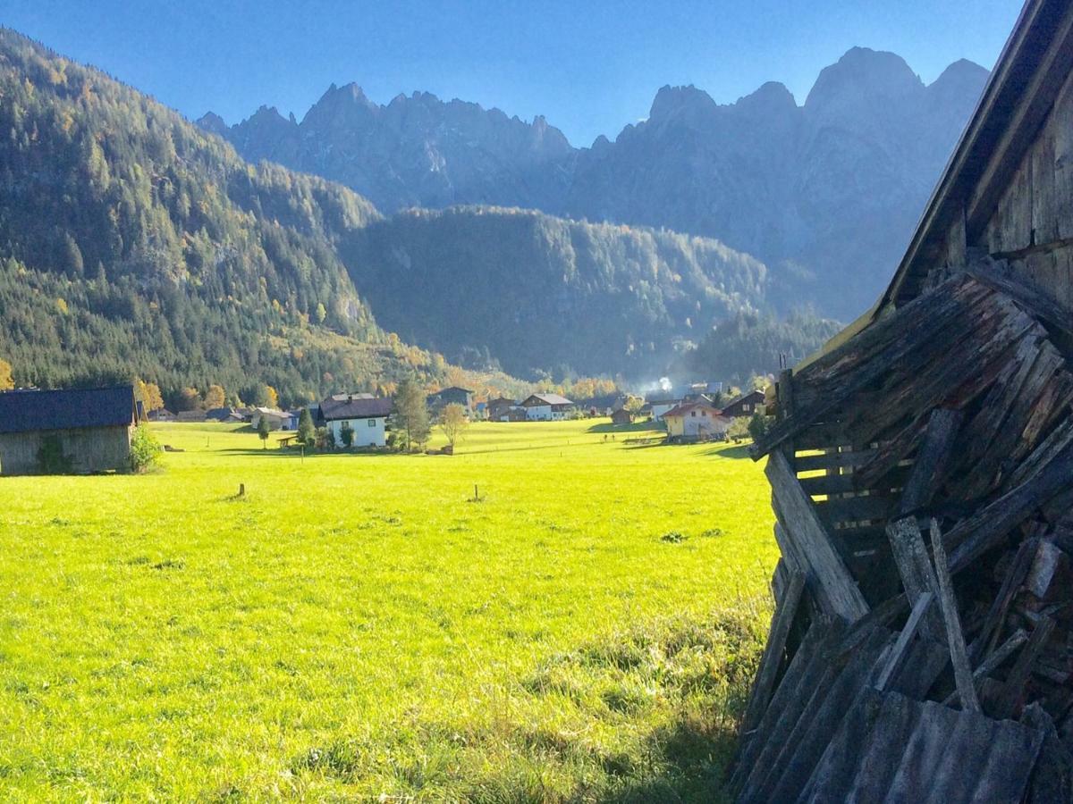Апартаменты Dachstein Mountainview Гозау Экстерьер фото