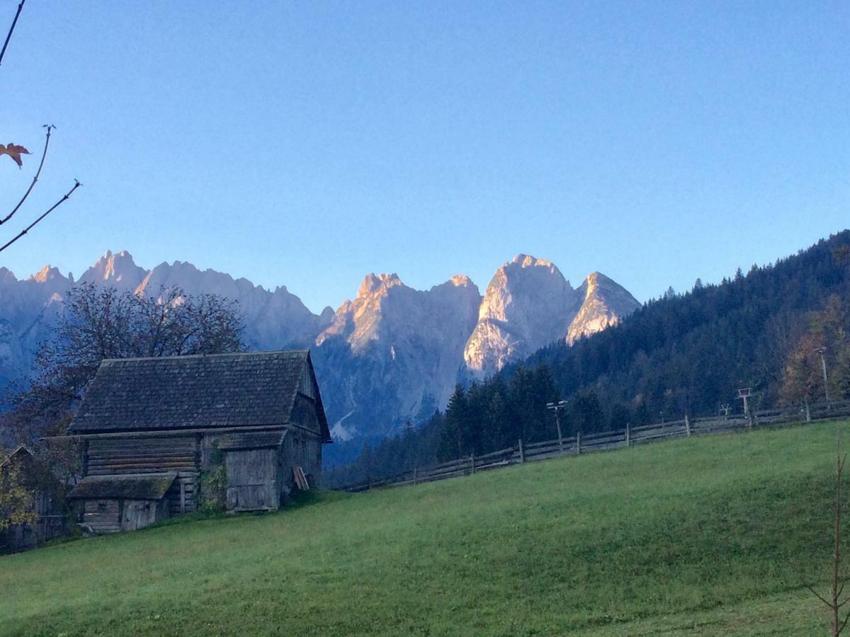 Апартаменты Dachstein Mountainview Гозау Экстерьер фото