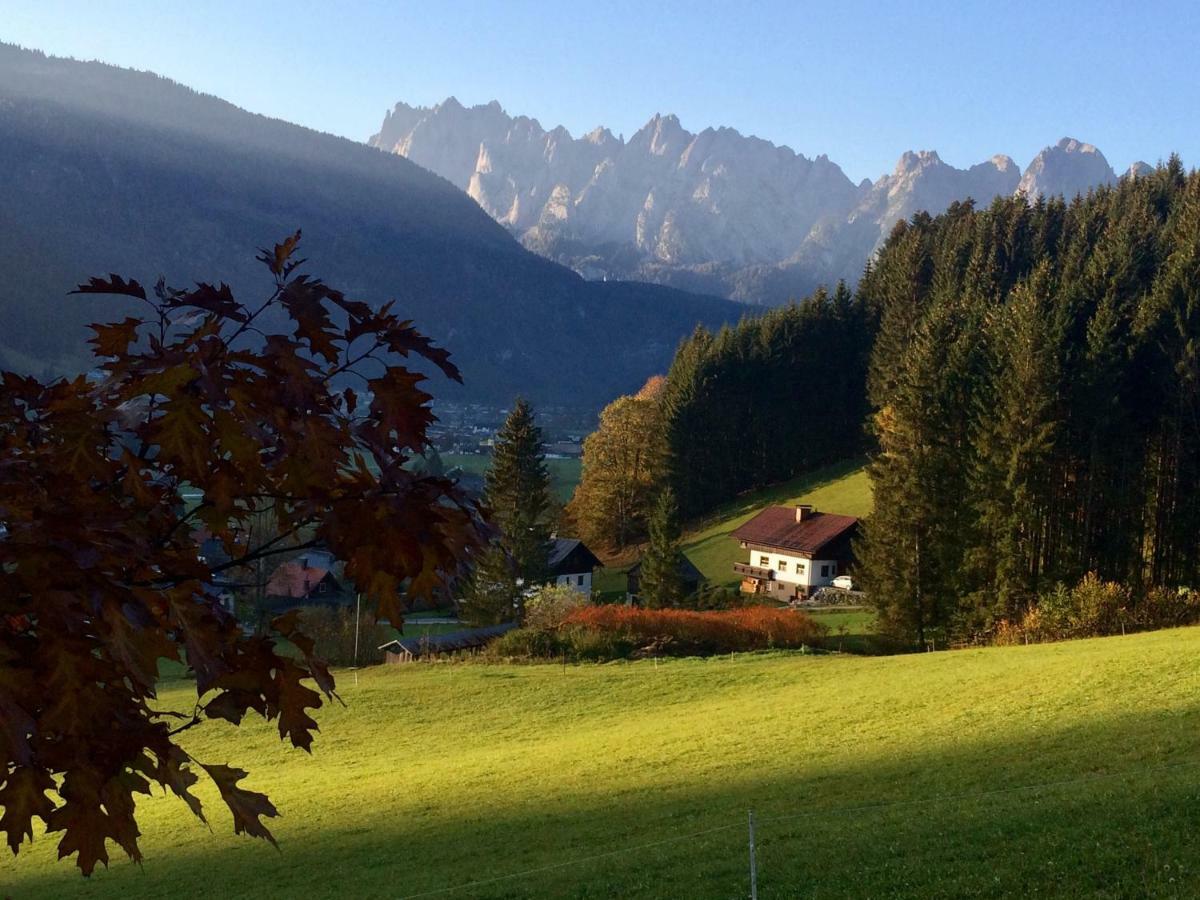 Апартаменты Dachstein Mountainview Гозау Экстерьер фото