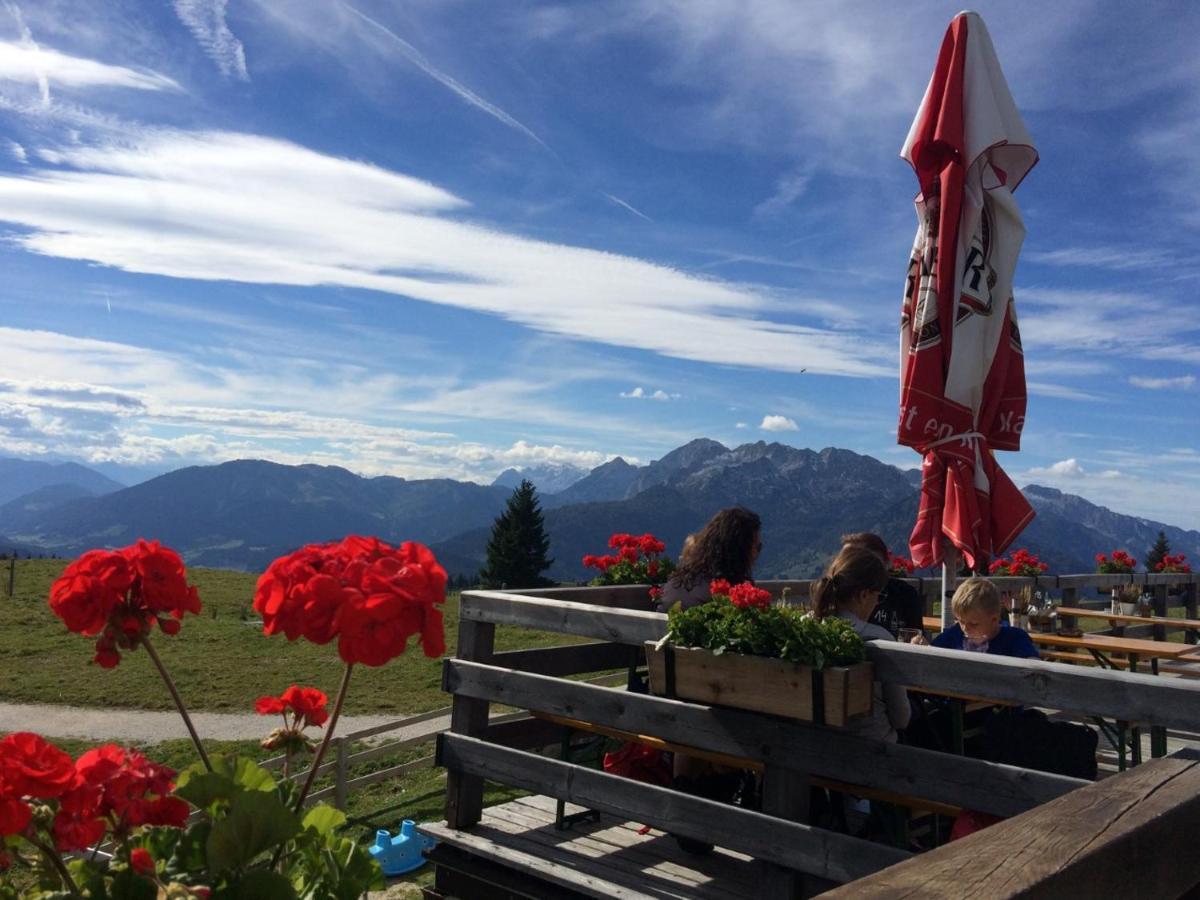 Апартаменты Dachstein Mountainview Гозау Экстерьер фото