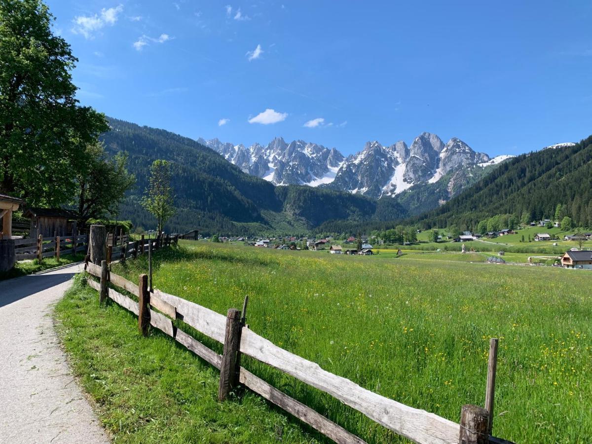 Апартаменты Dachstein Mountainview Гозау Экстерьер фото